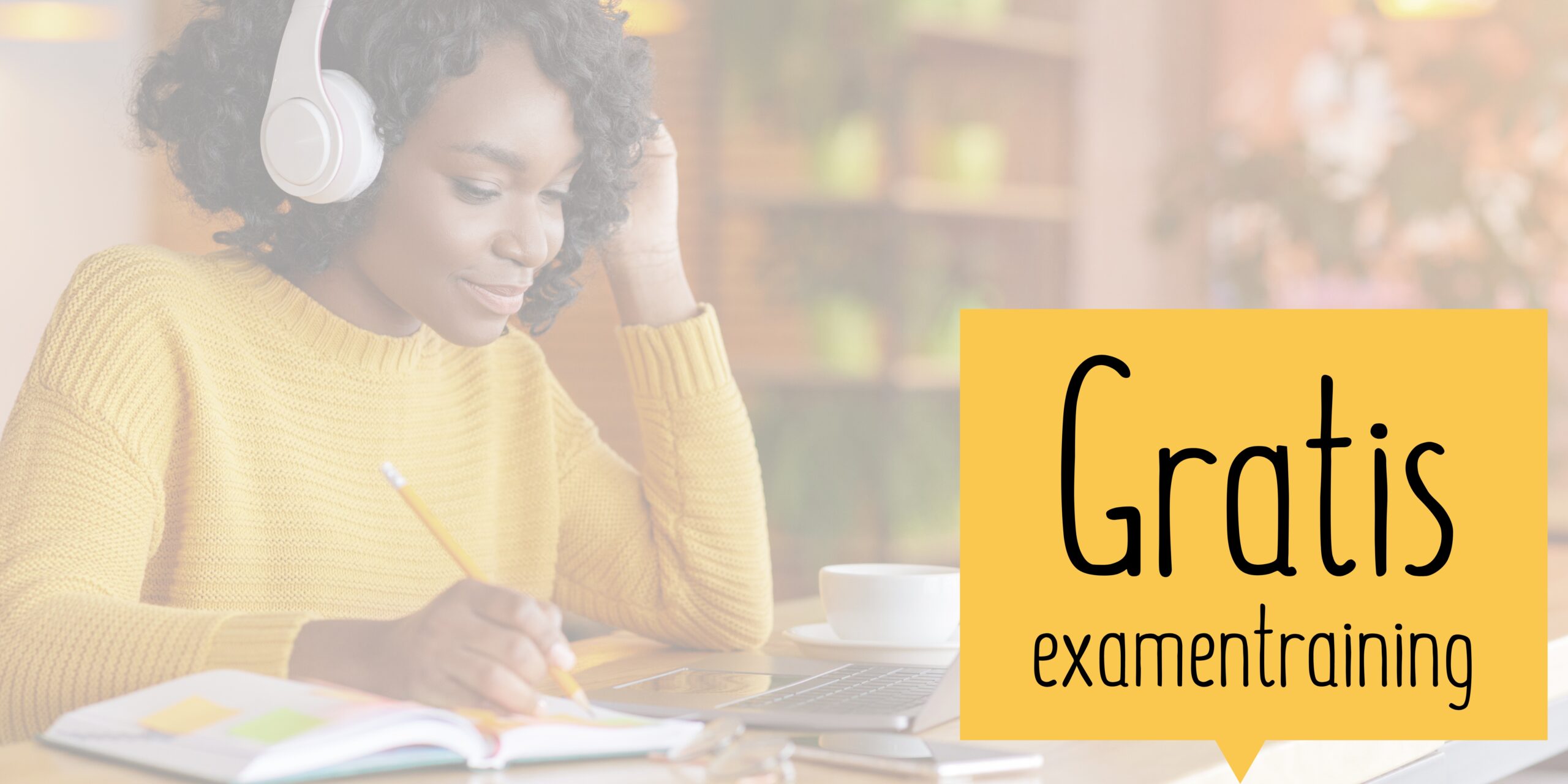 Gratis mini examentraining